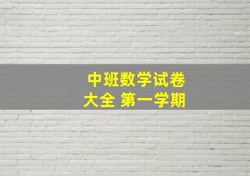 中班数学试卷大全 第一学期